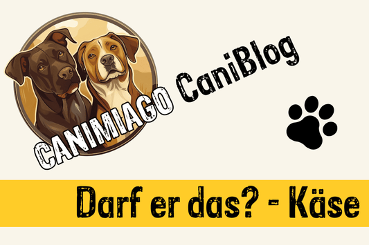 Darf er das? - Käse