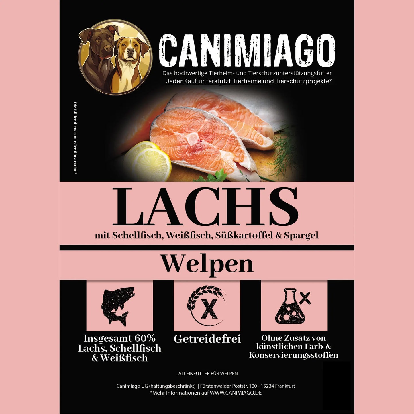 CANIMIAGO WELPEN - Lachs mit Schellfisch, Weißfisch, Süßkartoffel & Spargel